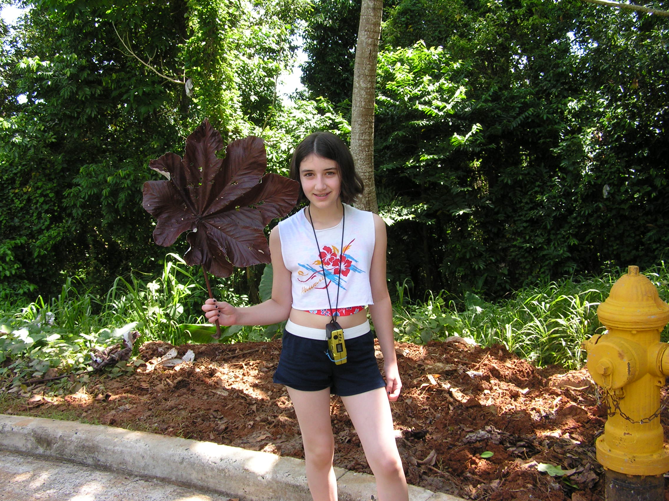 ./2005/Puerto Rico/Part 1/PICT0041.JPG